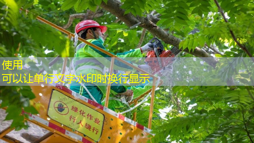 jn江南公司，新人专属网球拍怎么样的