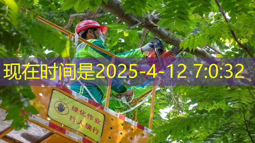 江南俱乐部，大黄蜂网球拍价格多少元