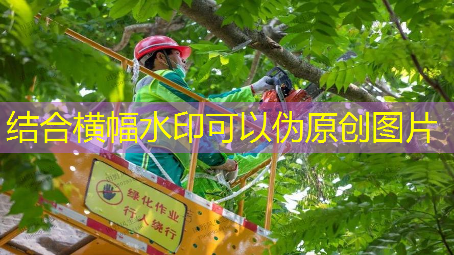专业介绍网球拍的书籍有哪些