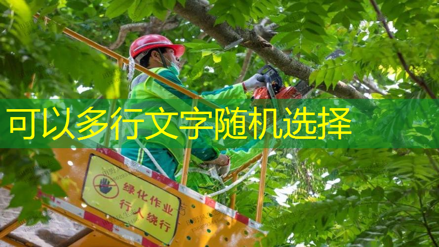 jn江南·体育登录入口，纪念款网球拍会升值么吗_