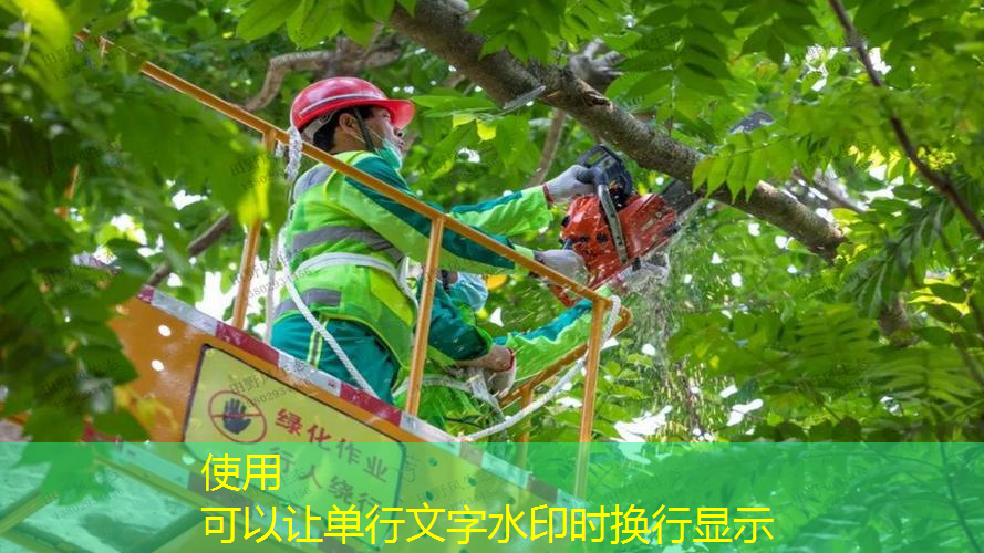 网球拍发快递发哪个快递好