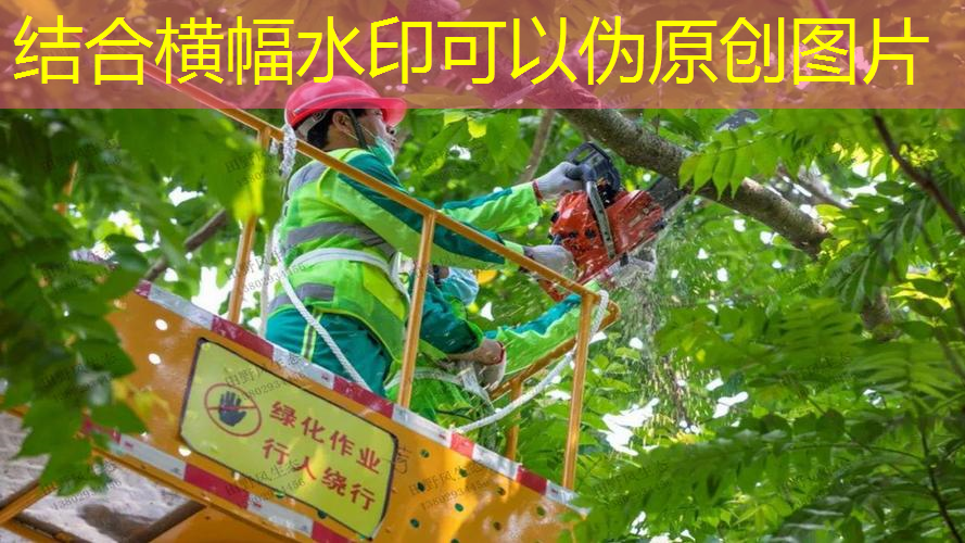 <strong>JN江南·体育最新，网球拍用不用缠手胶皮</strong>