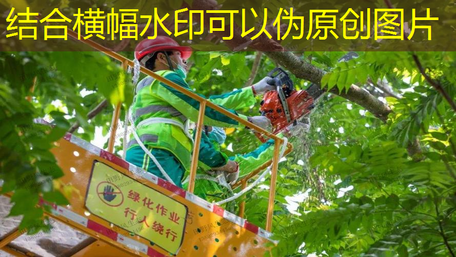 网球拍碳素和复合碳素的区别