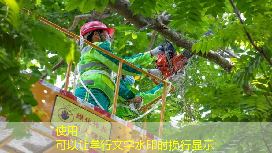 新手用什么专业网球拍好
