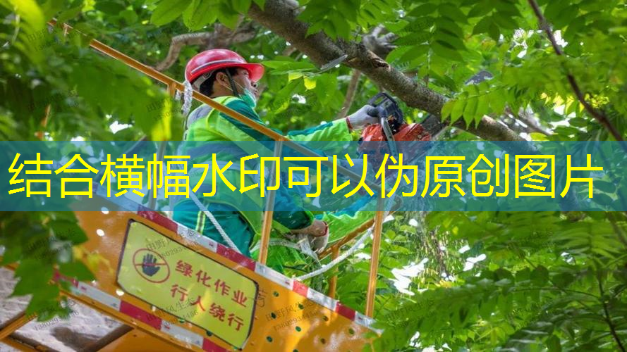 大黄蜂网球拍价格多少元
