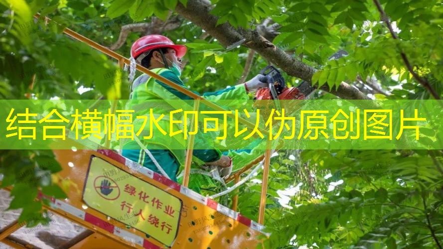 网球拍多久换一次新款