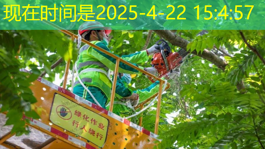 装网球拍的袋子怎么背好看