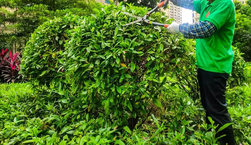 网球拍穿线磅数深度解析