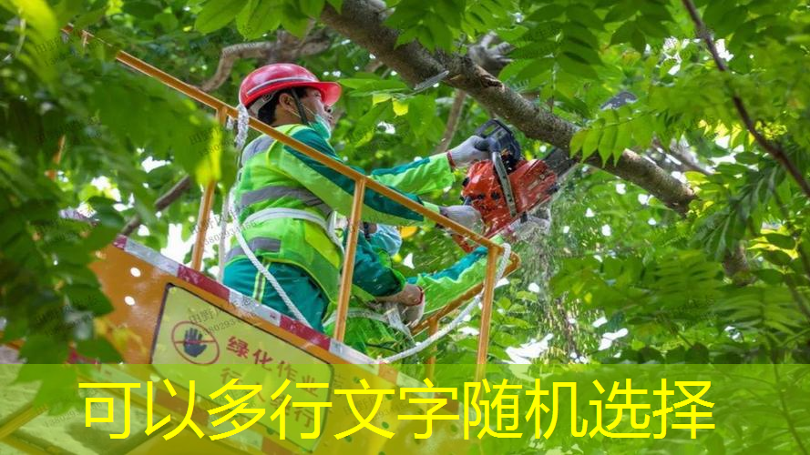 网球拍发快递发哪个快递好