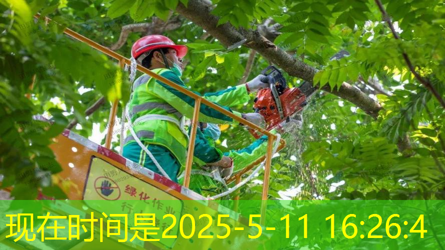 网球拍训练器东方甄选