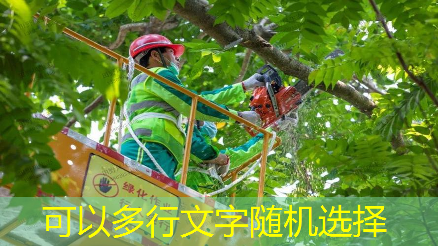室内健身10分钟热身动作